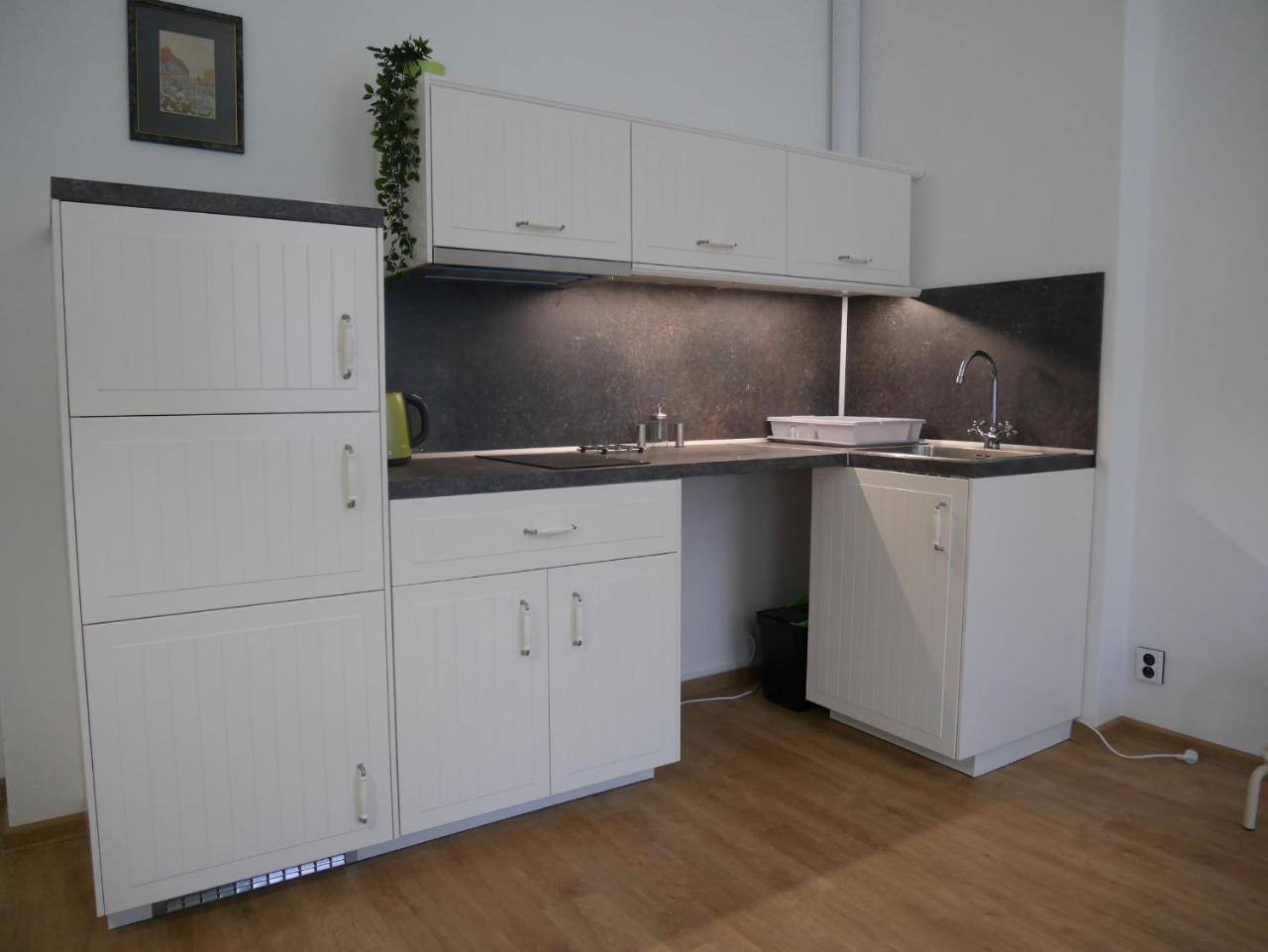 Moskevska 40 Apartment การ์โลวีวารี ภายนอก รูปภาพ